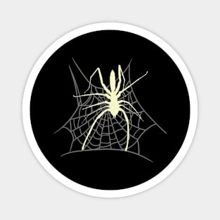 Spider Spider Web Grusel Halloween Animals Magnet